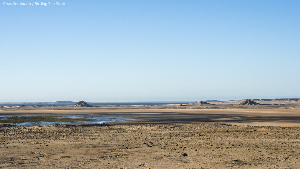 Bay of Dakhla. The vast intertidal mudflats surrounded by sand dunes and arid planes create a very characteristic and powerful landscape. Photo by Yeray Seminario/Birding The Strait